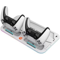 CANYON Подставка под Playstaion с зарядкой для геймпадов CS-PS5 белый